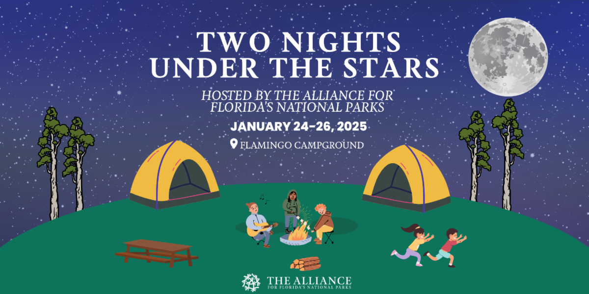 two nights under the stars