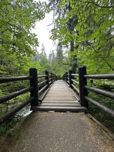 Silver Falls Trail of Ten Falls