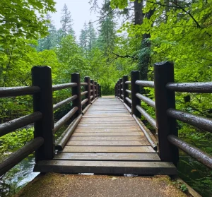 Things to do near Salem Oregon