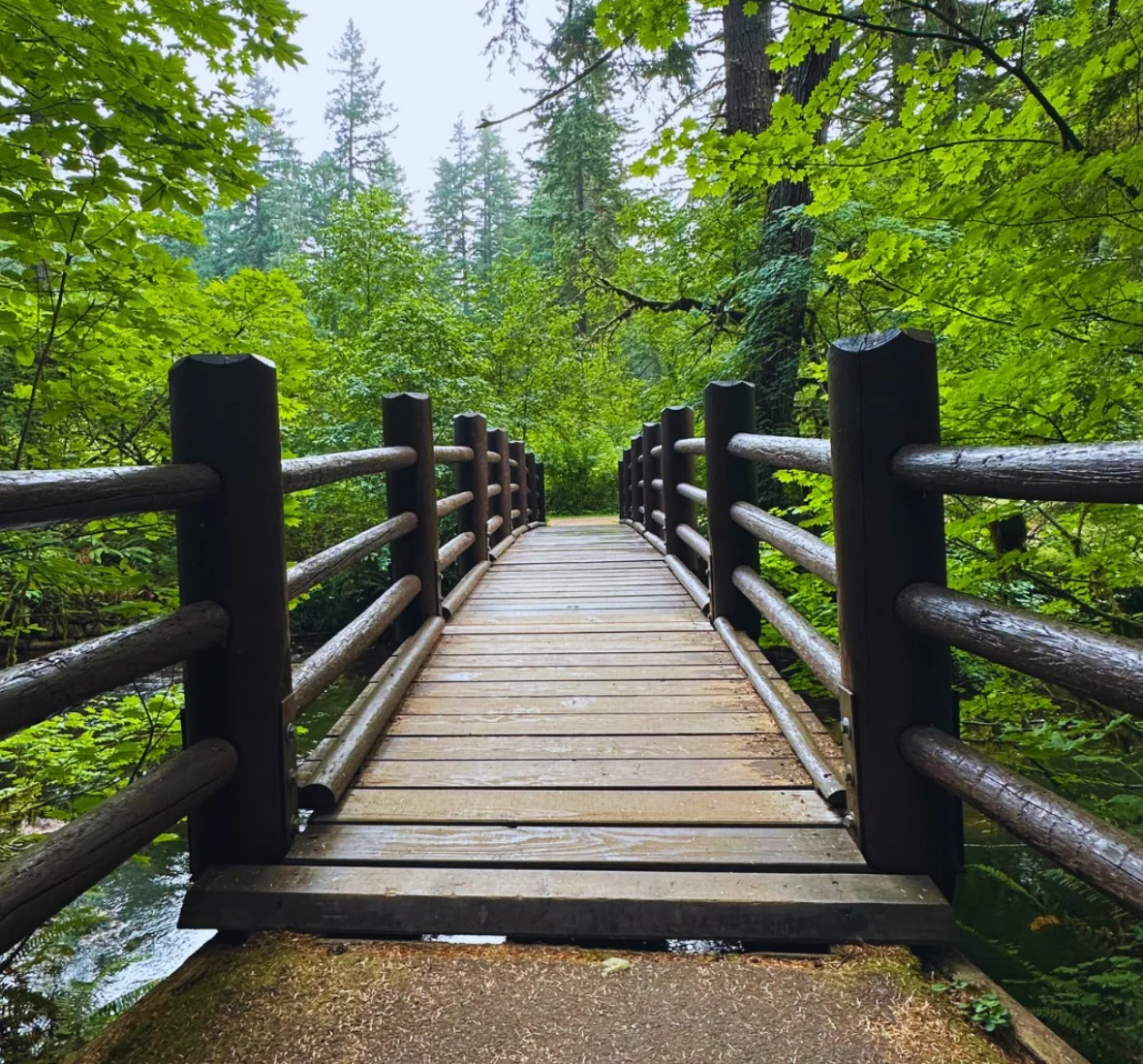Things to do near Salem Oregon