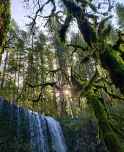 Best waterfalls near Salem