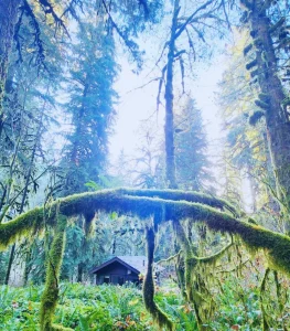 Lodging in Silver Falls State Park